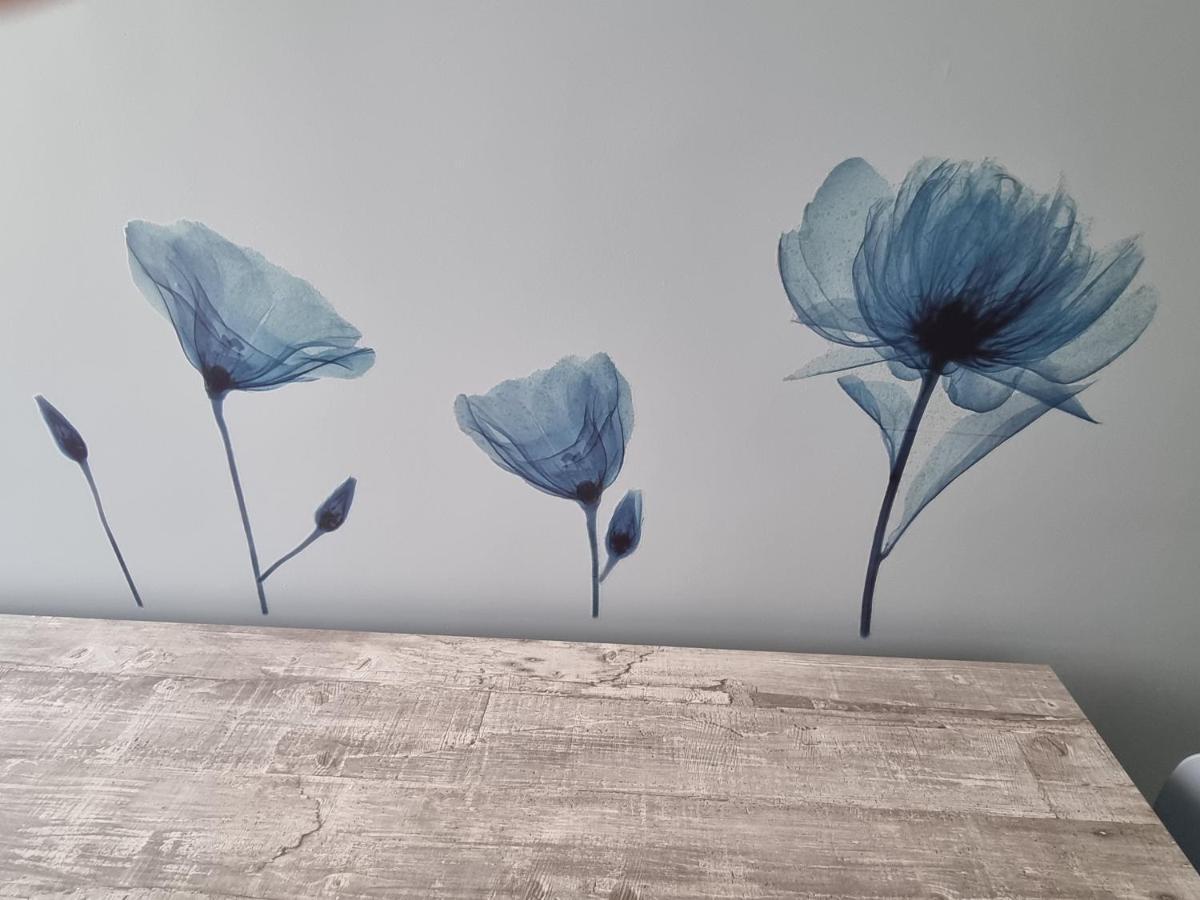 Blue House Apartment - San Massimo ורונה מראה חיצוני תמונה